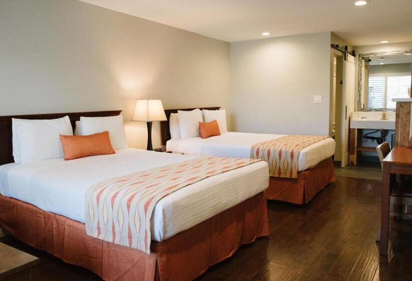 اتاق استاندارد, Alamo Inn And Suites  Convention Center