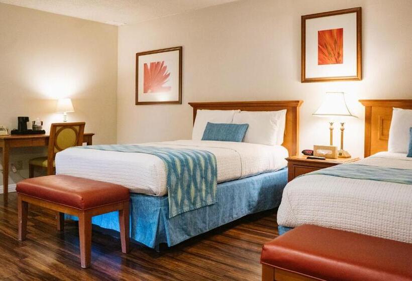 اتاق استاندارد با 2 تخت دوبل, Alamo Inn And Suites  Convention Center
