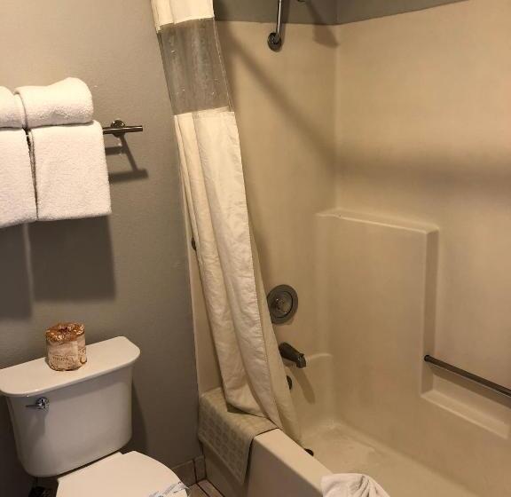 اتاق استاندارد با 2 تخت دوبل, Alamo Inn And Suites  Convention Center