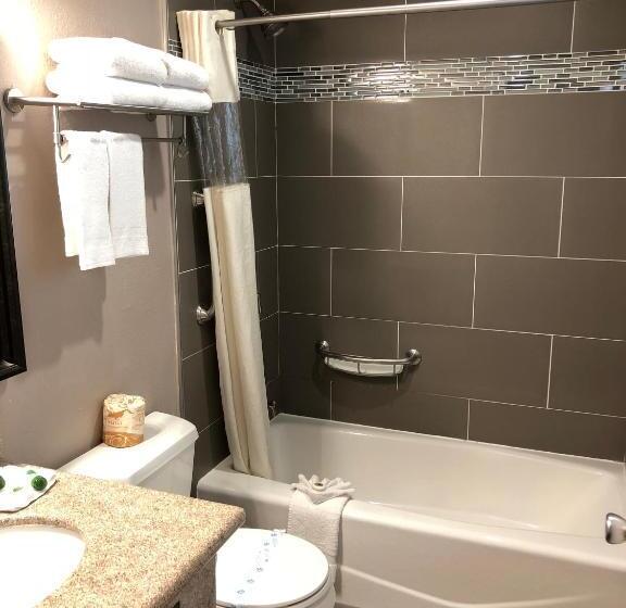 اتاق استاندارد با 2 تخت دوبل, Alamo Inn And Suites  Convention Center