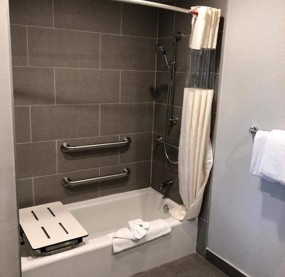 اتاق استاندارد برای معلولان, Alamo Inn And Suites  Convention Center