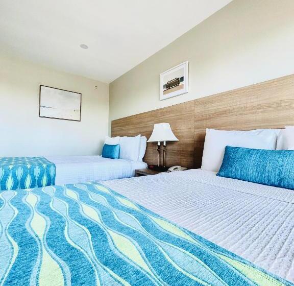 اتاق استاندارد برای معلولان, Alamo Inn And Suites  Convention Center
