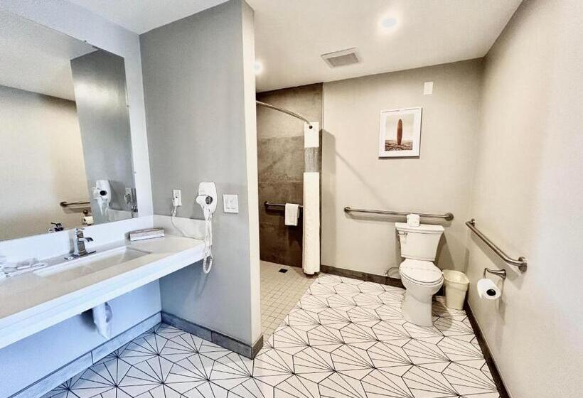 اتاق استاندارد برای معلولان, Alamo Inn And Suites  Convention Center
