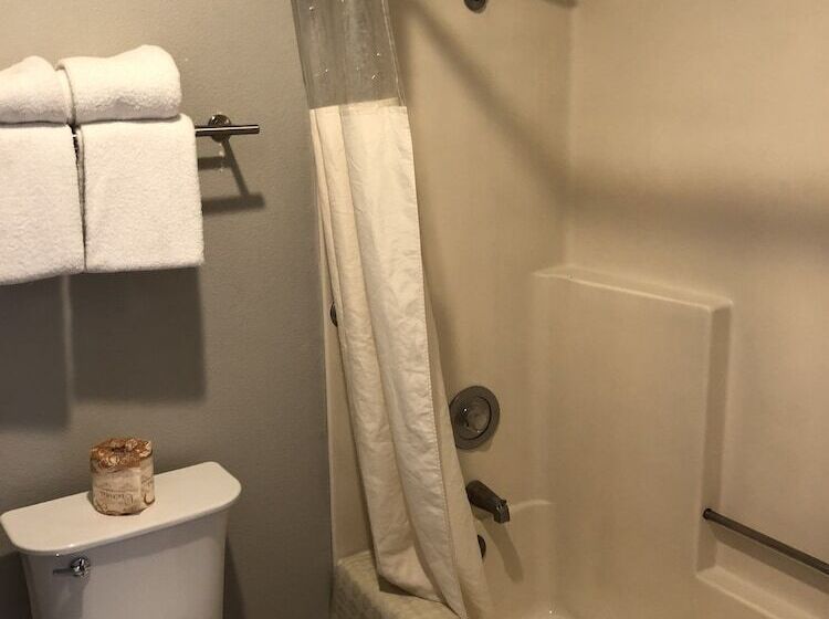اتاق استاندارد با 2 تخت دوبل, Alamo Inn And Suites  Convention Center