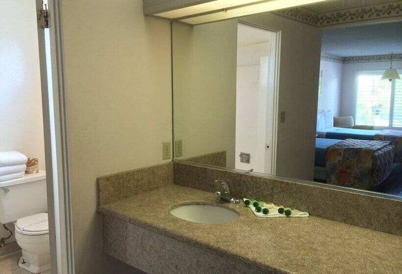 اتاق استاندارد, Alamo Inn And Suites  Convention Center