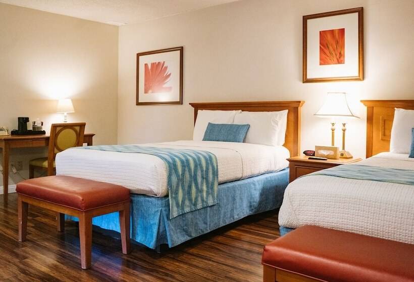 اتاق استاندارد, Alamo Inn And Suites  Convention Center