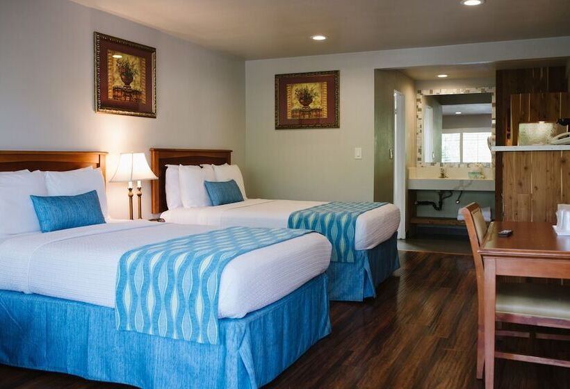 اتاق استاندارد, Alamo Inn And Suites  Convention Center