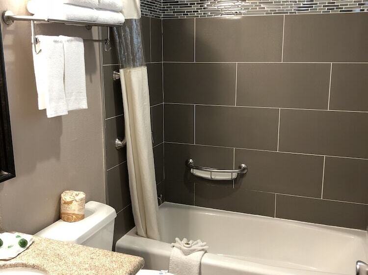 اتاق استاندارد, Alamo Inn And Suites  Convention Center