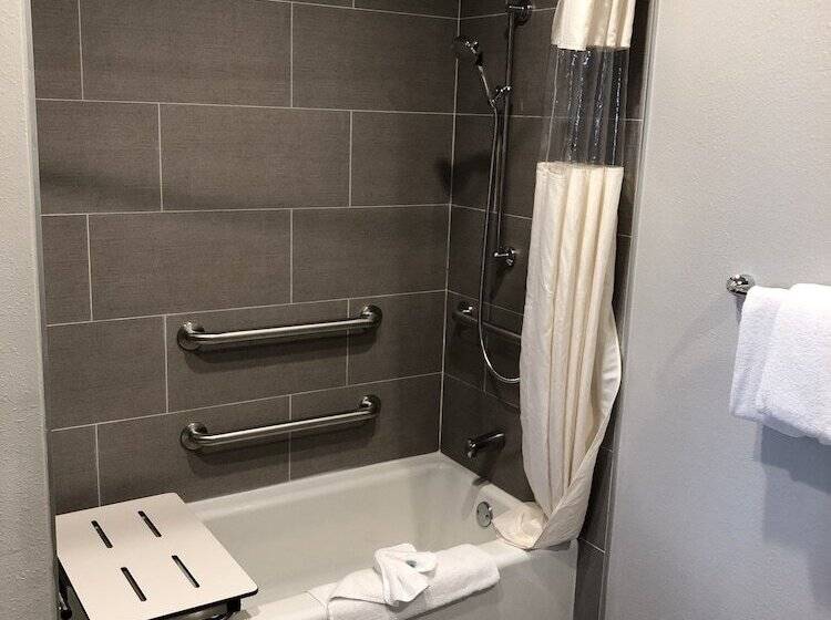 اتاق استاندارد با تخت بزرگ برای معلولان, Alamo Inn And Suites  Convention Center