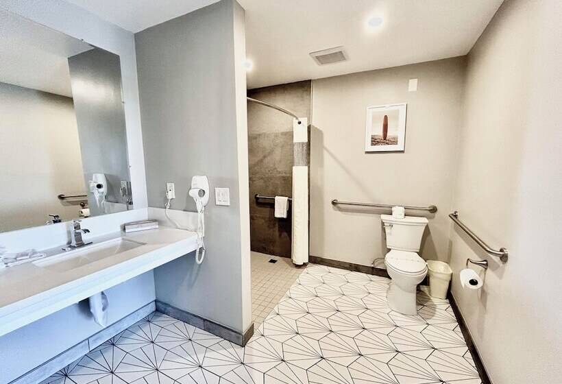 اتاق استاندارد برای معلولان, Alamo Inn And Suites  Convention Center