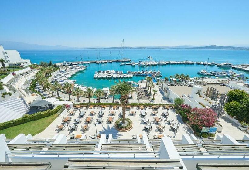 اتاق استاندارد, Altin Yunus Hotel & Spa çeşme