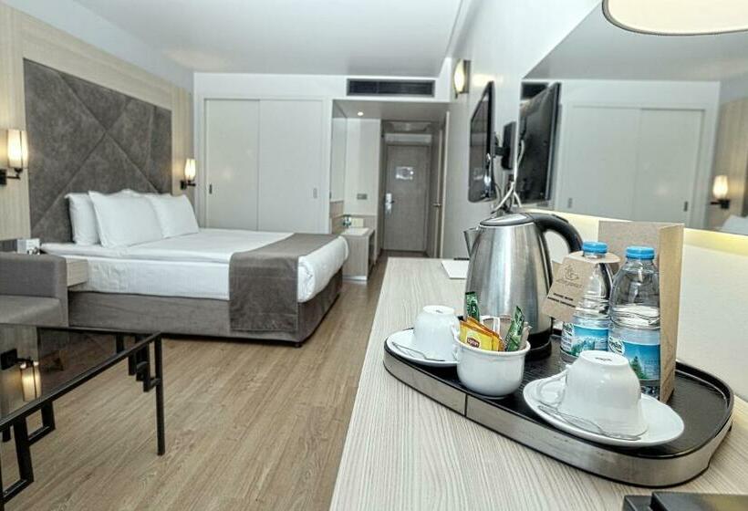 اتاق داخلی دلوکس, Altin Yunus Hotel & Spa çeşme