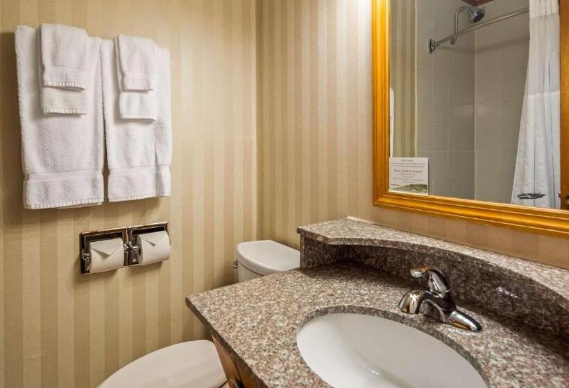 Стандартный Номер Кровать Кинг, Best Western Adirondack Inn