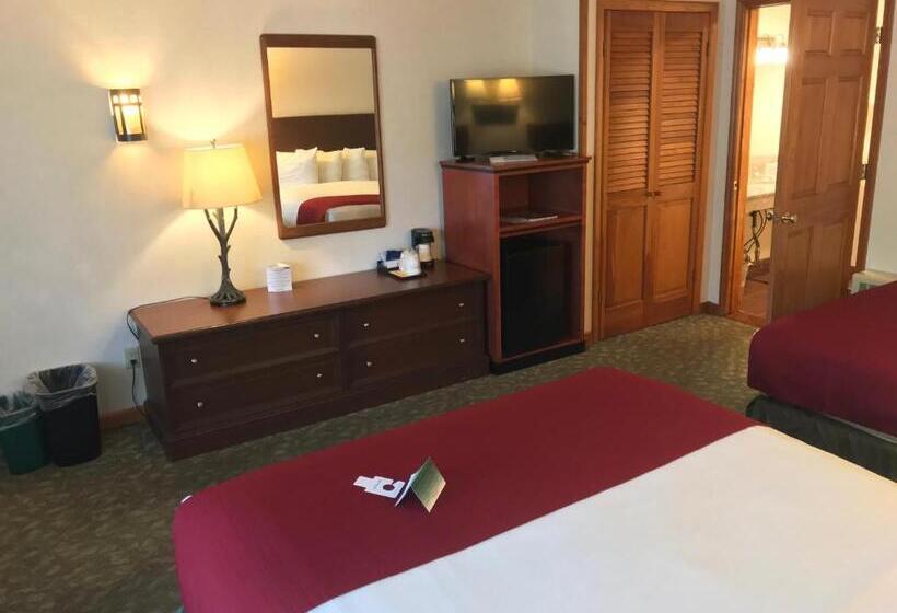 Номер Стандарт Адаптированный для Инвалидов, Best Western Adirondack Inn