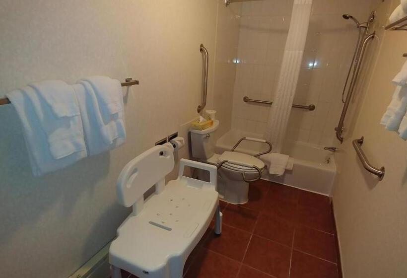 Номер Стандарт Адаптированный для Инвалидов, Best Western Adirondack Inn