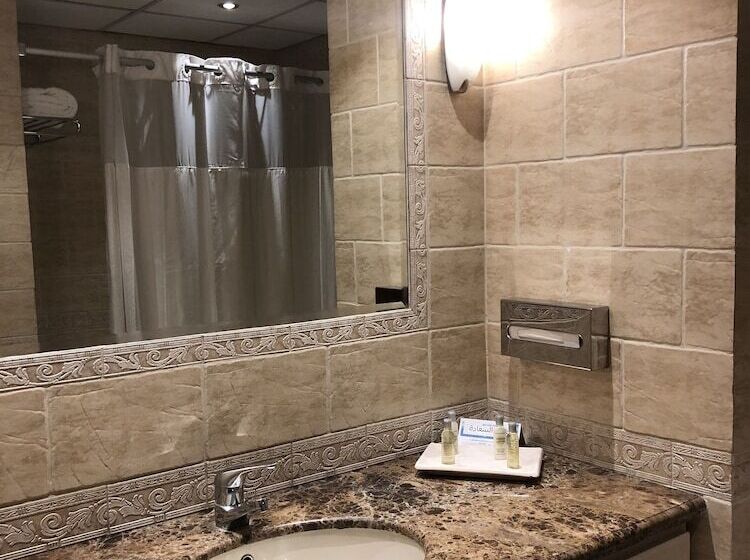 اتاق استاندارد با تخت بزرگ, Hilton Cairo Zamalek Residences