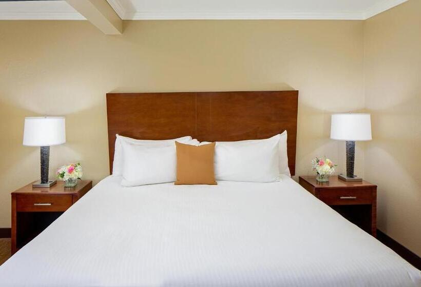 스탠다드 룸 킹사이즈 침대, Best Western Bennington