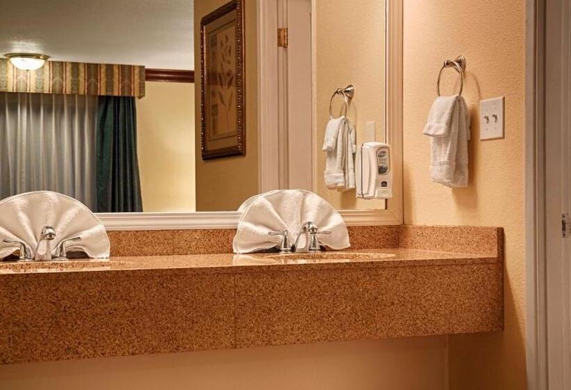 Номер Стандарт с Балконом, Best Western Garden Villa Inn