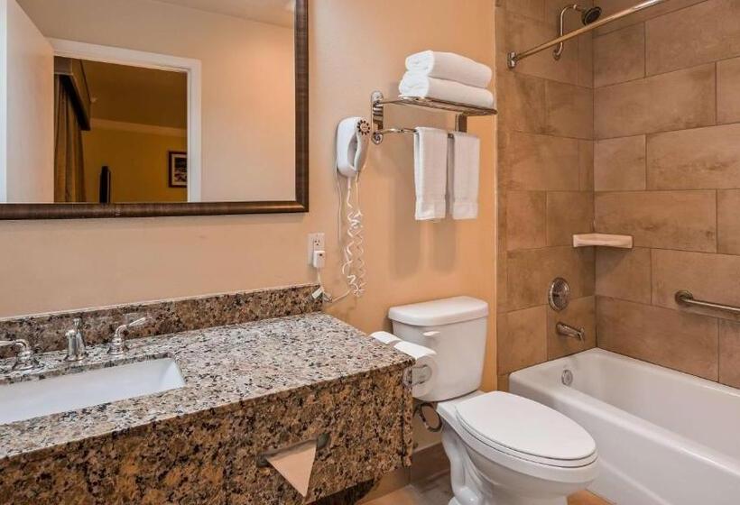 Стандартный Номер Кровать Кинг, Best Western Garden Villa Inn