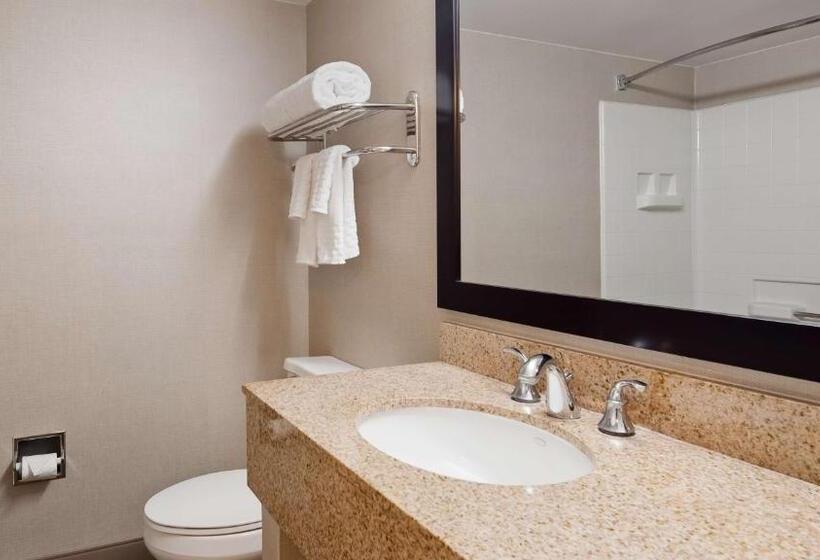 Стандартный Номер Кровать Кинг, Best Western La Plata Inn
