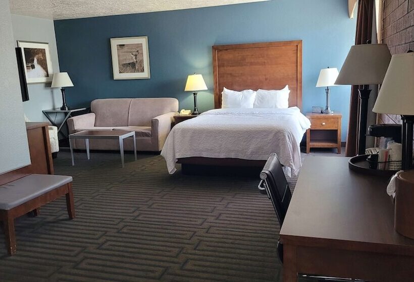 Люкс Адаптированный для Инвалидов, Best Western Pocatello Inn