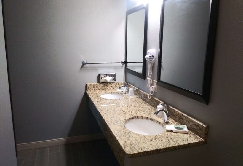 Люкс Адаптированный для Инвалидов, Best Western Pocatello Inn