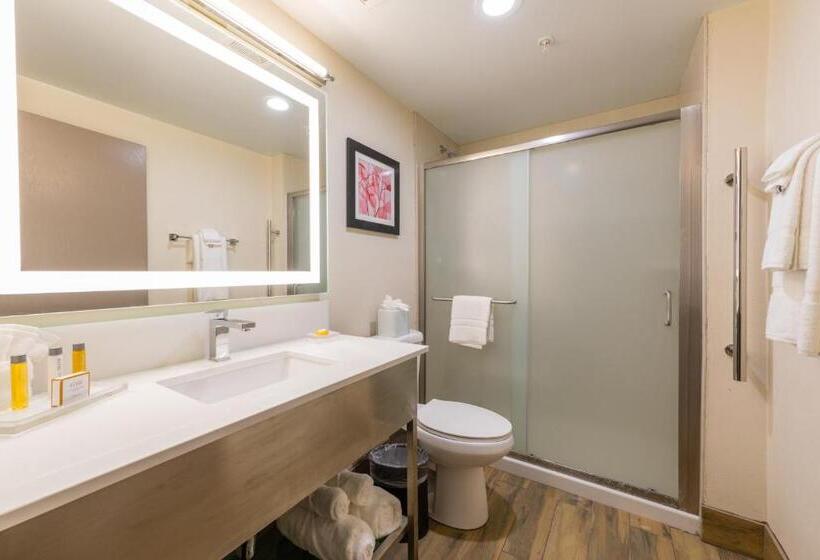 Номер Стандарт Двуспальная Кровать, Holiday Inn Brookfield   Milwaukee, An Ihg