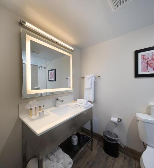 Номер Стандарт, Holiday Inn Brookfield   Milwaukee, An Ihg