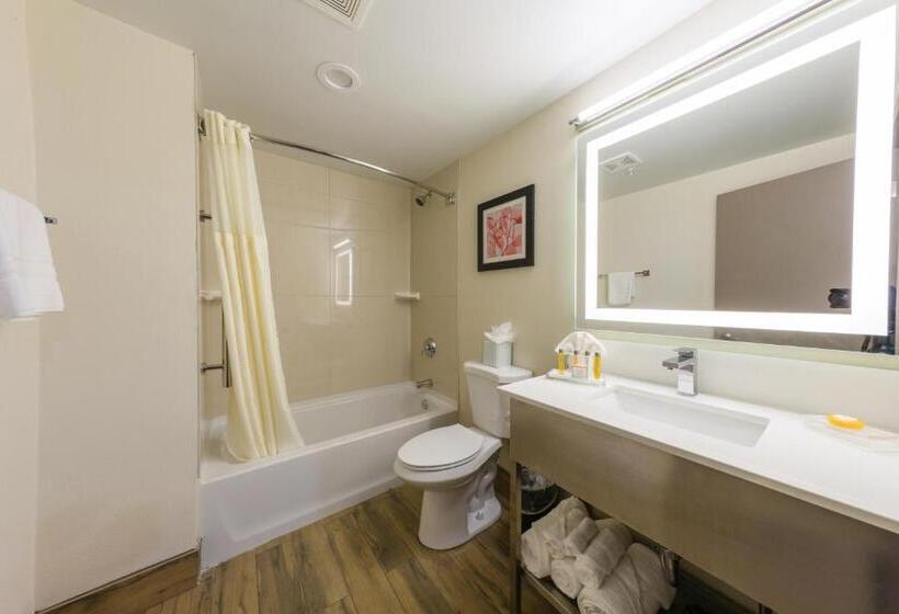 Стандартный Номер Кровать Кинг, Holiday Inn Brookfield   Milwaukee, An Ihg