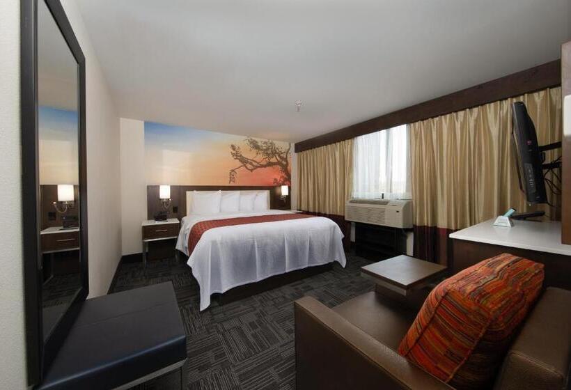 Номер Стандарт Кровать Кинг Адаптированный для Инвалидов, Holiday Inn Brookfield   Milwaukee, An Ihg