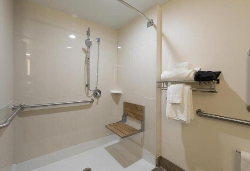 Номер Стандарт Кровать Кинг Адаптированный для Инвалидов, Holiday Inn Brookfield   Milwaukee, An Ihg