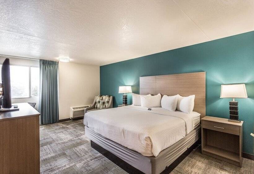 스탠다드 룸 더블 침대, Everspring Inn And Suites