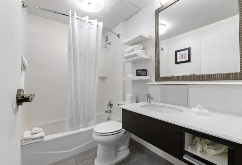 اتاق سوپریور, Allentown Park Hotel, Ascend Hotel Collection