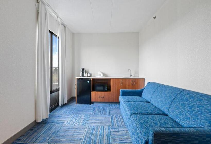 سوئیت با تخت بزرگ, Allentown Park Hotel, Ascend Hotel Collection