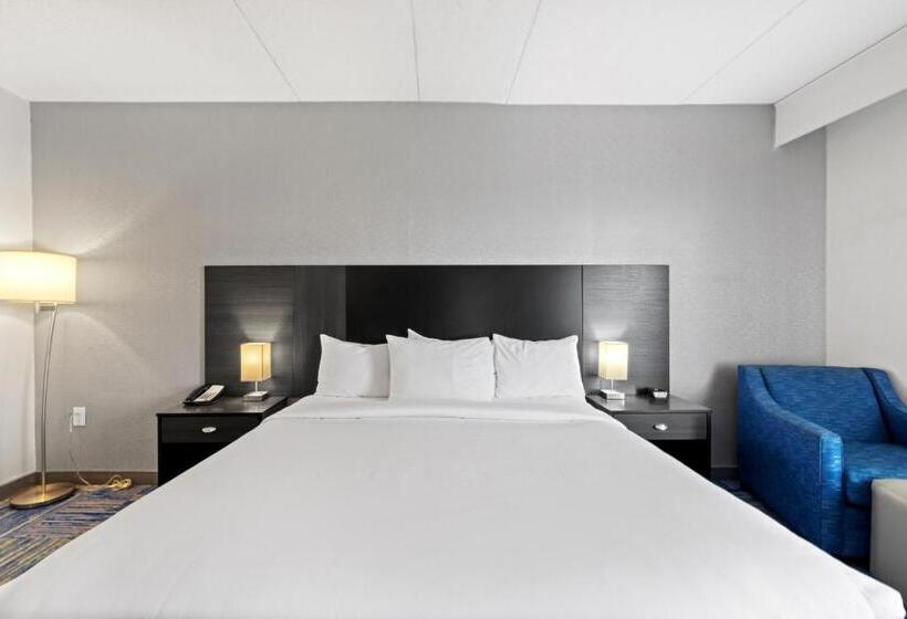 اتاق سوپریور با تخت بزرگ, Allentown Park Hotel, Ascend Hotel Collection