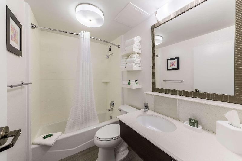اتاق استاندارد با تخت بزرگ, Allentown Park Hotel, Ascend Hotel Collection