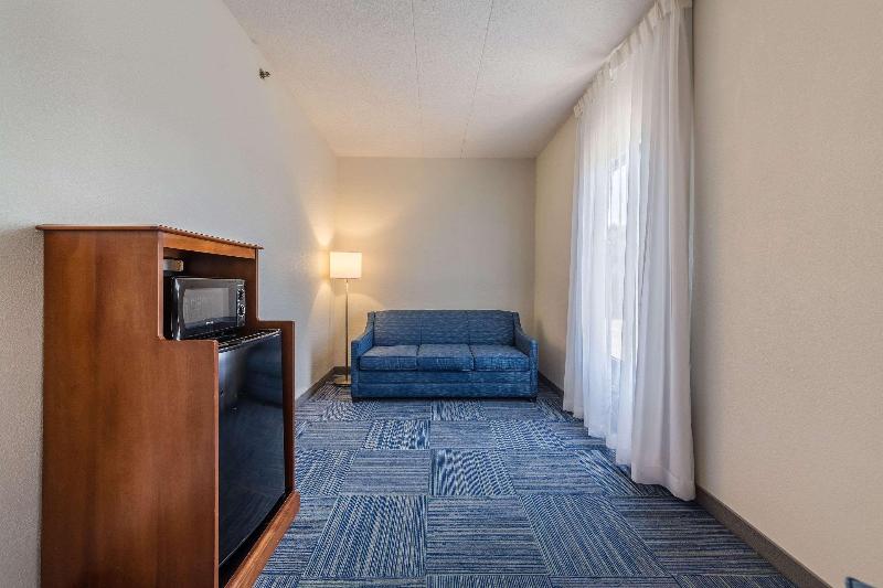 اتاق استاندارد با تخت بزرگ, Allentown Park Hotel, Ascend Hotel Collection