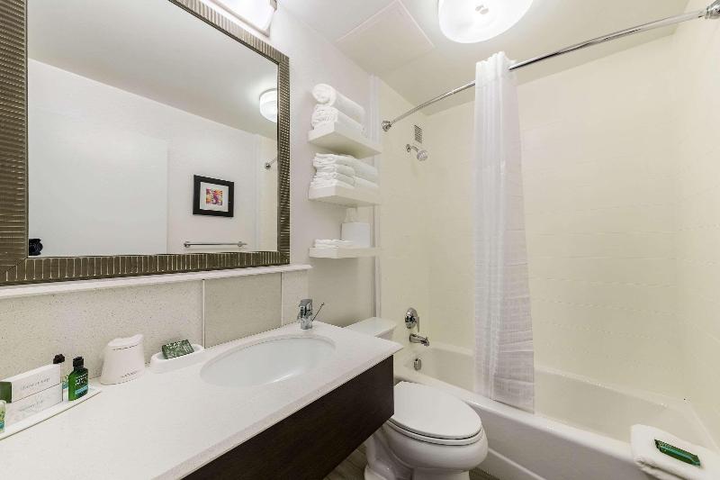 اتاق استاندارد با تخت بزرگ, Allentown Park Hotel, Ascend Hotel Collection