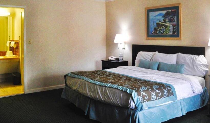 Стандартный Номер Кровать Кинг, Azalea Inn & Suites