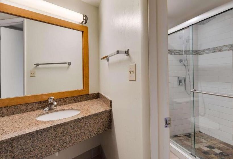 스위트 킹사이즈 침대, Best Western East Zion Thunderbird Lodge