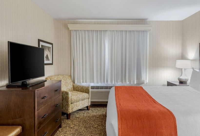 스위트, Best Western Plus Big America