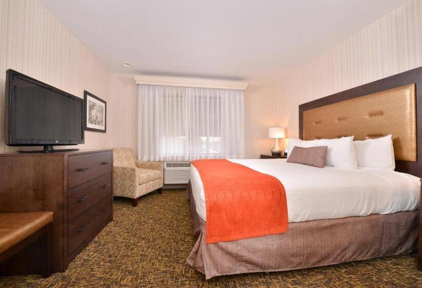 스탠다드 룸 킹사이즈 침대, Best Western Plus Big America