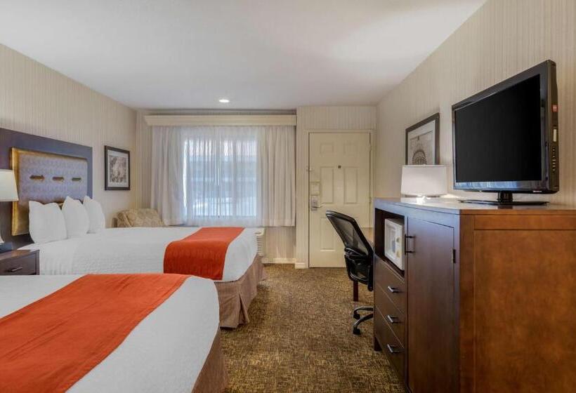 스위트, Best Western Plus Big America