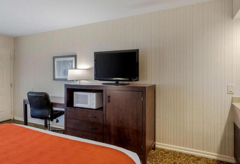 장애인을 위한 킹사이즈 침대 스탠다드 룸, Best Western Plus Big America