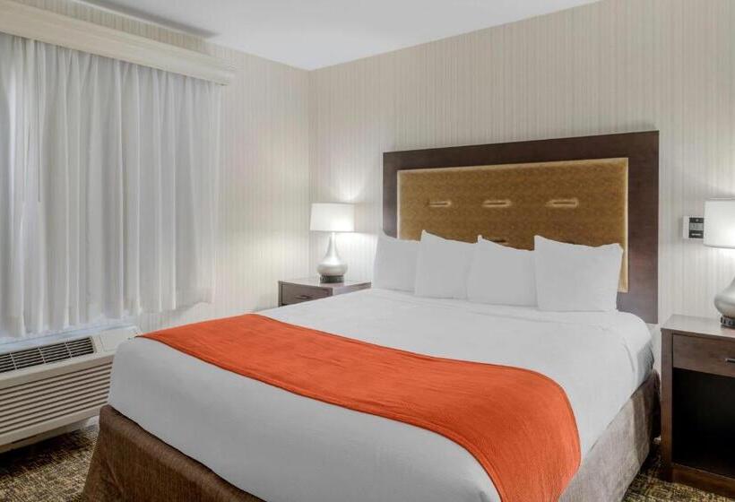 디럭스 스위트, Best Western Plus Big America