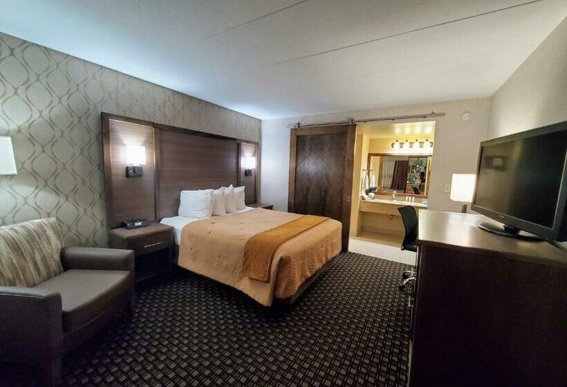 اتاق استاندارد, Ramkota Hotel Watertown