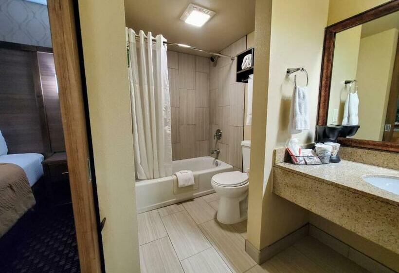 اتاق استاندارد, Ramkota Hotel Watertown