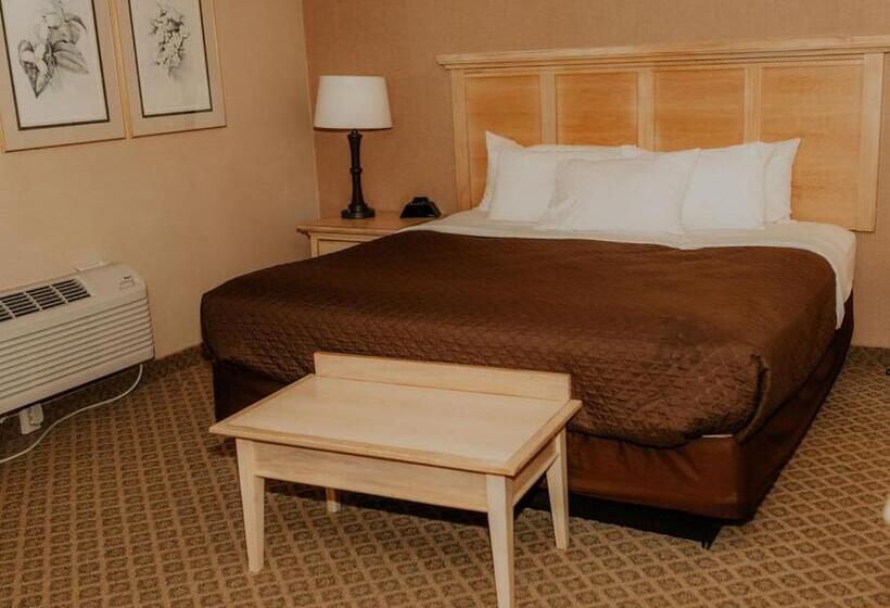 스탠다드 룸 킹사이즈 침대, Wallace Inn