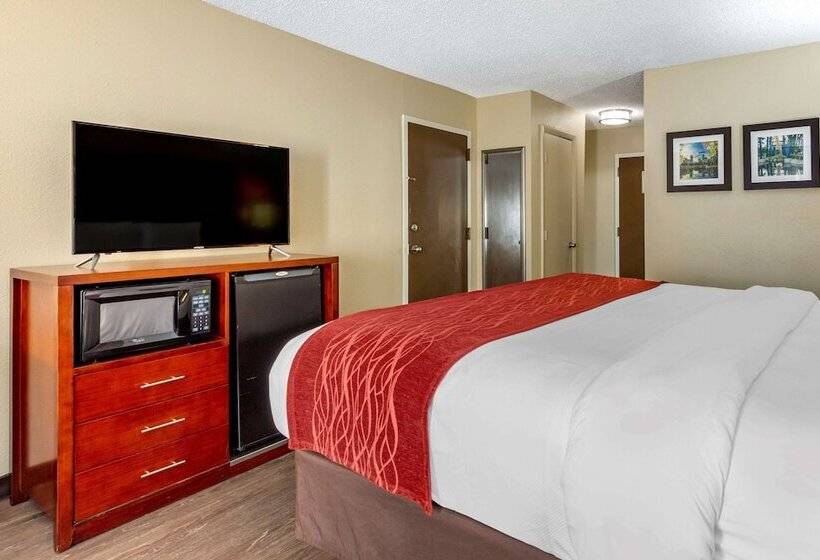 חדר סטנדרט עם מיטת קינג, Comfort Inn Fort Mill Amusement Park At Carowinds Blvd