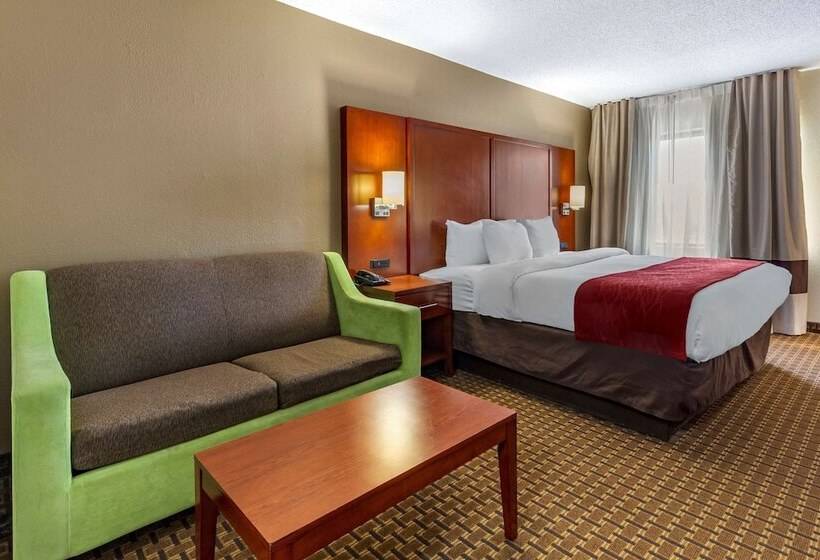 חדר סטנדרט עם מיטת קינג, Comfort Inn Fort Mill Amusement Park At Carowinds Blvd